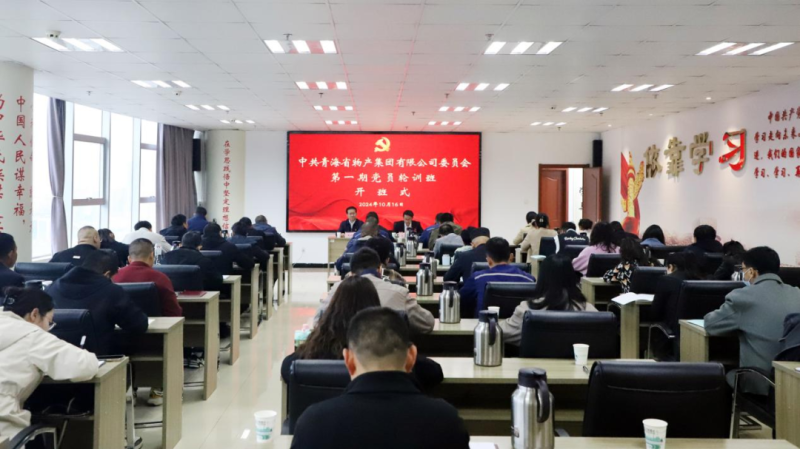 鑄魂強基 聚力賦能&mdash;&mdash;集團黨委2024年第一期黨員輪訓班圓滿結束